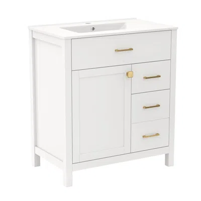 Hivvago Single Bathroom Vanity With 2 Drawers And 1 Door