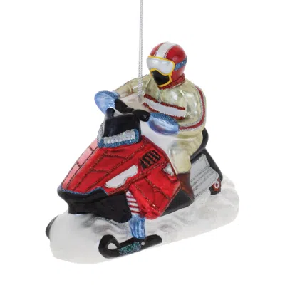 Hivvago Snowmobile Ornament (set Of 6) In Multi