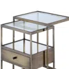 Hivvago Stylish Nesting Tables Set, Clear Glass & Brass, 2 Piece Pack In Brown