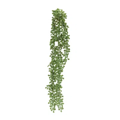 Hivvago Succulent Stem (set Of 6) In Green