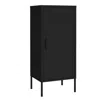 Hivvago Tall Storage Cabinet, 1 Door, 2 Shelves, Modern Matte Black Steel In Black