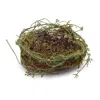 Hivvago Twig Bird Nest With Moss (set Of 6) In Green
