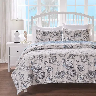 Hivvago Twin/twin Xl Size 2 Piece Microfiber Beach Shells Coastal Reversible Quilt Set