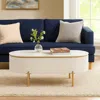 Hivvago Tyce Oval Coffee Table With Drawer, 47 Inch, Glossy White, Gold Metal In White
