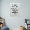 Hivvago Under The Sea White Floater Frame Print Wall Art In Black