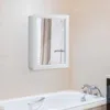 Hivvago Wall Mounted Adjustable Medicine Storage Mirror Cabinet