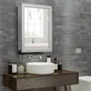 Hivvago Wall-mounted Mirrored Medicine Cabinet-gray
