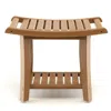Hivvago Waterproof Bath Stool With Curved Seat And Storage Shelf In Brown