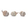 Hivvago White Washed Etched Acorn (set Of 6) In Brown