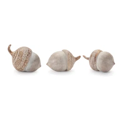 Hivvago White Washed Etched Acorn (set Of 6) In Brown