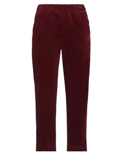 Hod Woman Pants Burgundy Size 26 Cotton, Elastane In Red