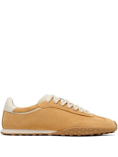 Hoff Bridge Sneakers In Brown