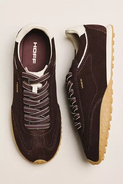 Hoff Bridge Sneakers In Brown