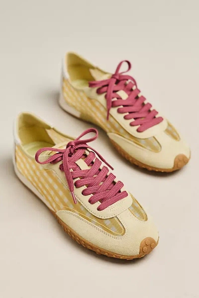 Hoff Bridge Vichy Sneakers In Brown