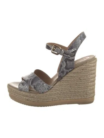 Pre-owned Hogan Canvas Animal Print Espadrilles In Blue
