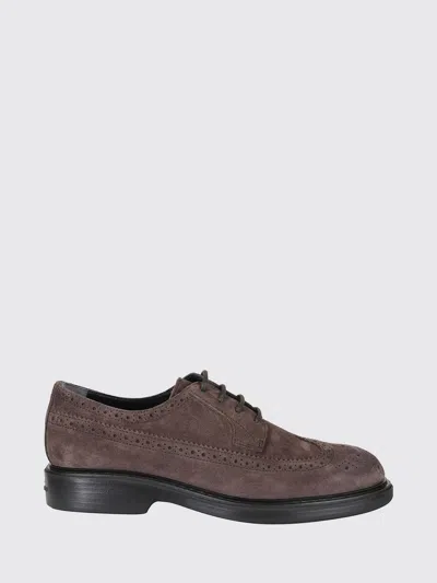 Hogan H704 Suede Leather Derby Brogues With A Wingtip Motif In Animal Print