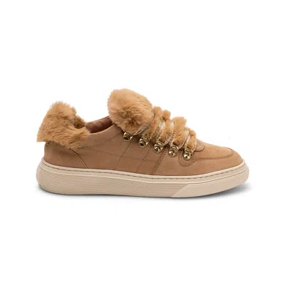 Hogan Ladies Multi-color Sneakers In Brown