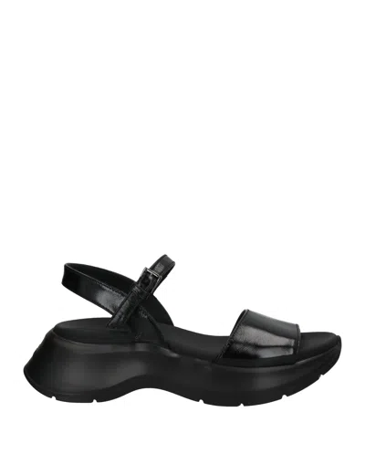 Hogan Sandals In Black