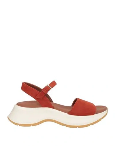 Hogan Woman Sandals Rust Size 8 Leather In Red