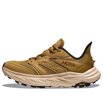 Hoka One One Anacapa 2 Freedom 'tan' In Multi