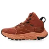Hoka One One Anacapa Mid Gore Tex 'baked Clay' In Multi