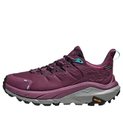 Hoka One One Kaha 2 Low Gore-tex 'grape Wine' In Multi