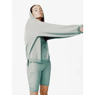 Holden Outerwear Icon Hoodie In Sage