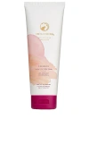 Holifrog Tashmoo Water Lily Nourishing Milky Face Wash Jumbo In N,a