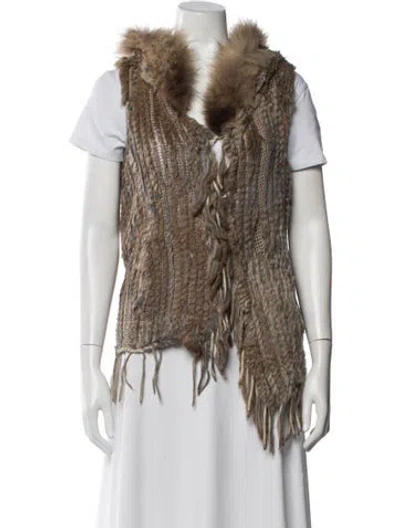 Pre-owned Hollies Fur Jacket In Brown