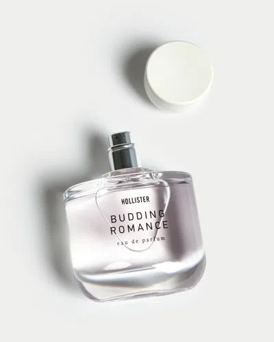Hollister Budding Romance Perfume In Transparent