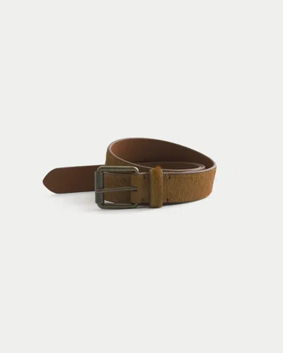 Hollister Hair-on-cowhide Leather Belt In Brown