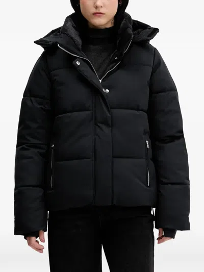 Hollister Hooded Puffer Jacket In Black