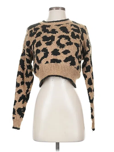 Pre-owned Hollister Pullover Sweater In Brown