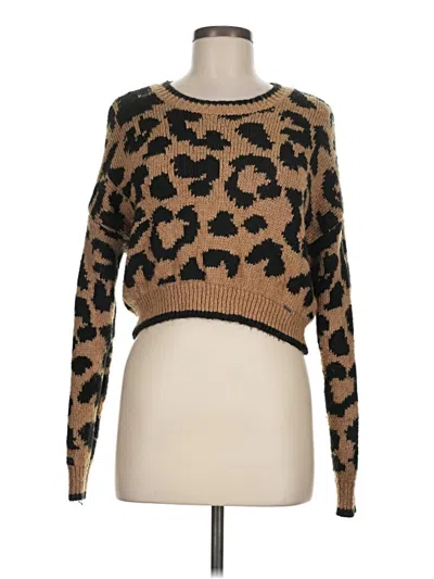 Pre-owned Hollister Pullover Sweater In Brown