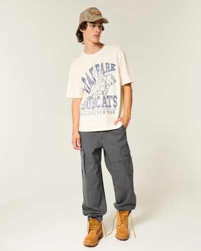 Hollister Skater Baggy Cargo Pants In Gray