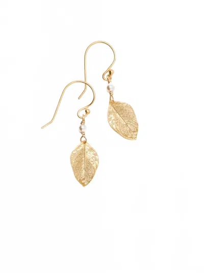 Holly Yashi Women's Healing Leaf Earrings In Gold