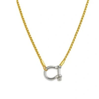 Hollywood Sensation Lucky Lock Carabiner Necklace Two Tone Mixed Metal Horseshoe Pendant Chain