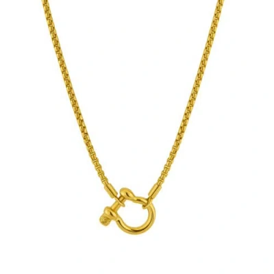 Hollywood Sensation Lucky Lock Carabiner Necklace Two Tone Mixed Metal Horseshoe Pendant Chain