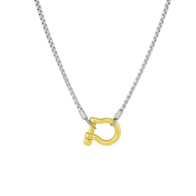 Hollywood Sensation Lucky Lock Carabiner Necklace Two Tone Mixed Metal Horseshoe Pendant Chain