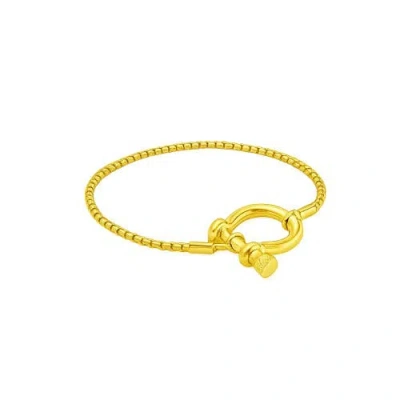 Hollywood Sensation The Lucky Lock Horseshoe Carabiner Clasp Bracelet In Gold