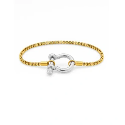 Hollywood Sensation The Lucky Lock Horseshoe Carabiner Clasp Bracelet In Gold