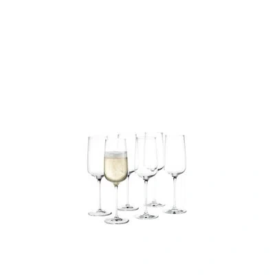 Holmegaard Bouquet Champagne Glass, Clear, 9.8 Oz, 6 Pcs