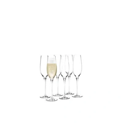 Holmegaard Cabernet Champagne Glass, Clear, 9.8 Oz, 6 Pcs