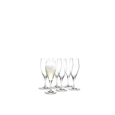 Holmegaard Perfection Champagne Glass, Clear, 7.8 Oz, 6 Pcs.
