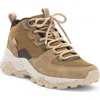 Holo Footwear Apollo Mid Hiking Boot In Coyote