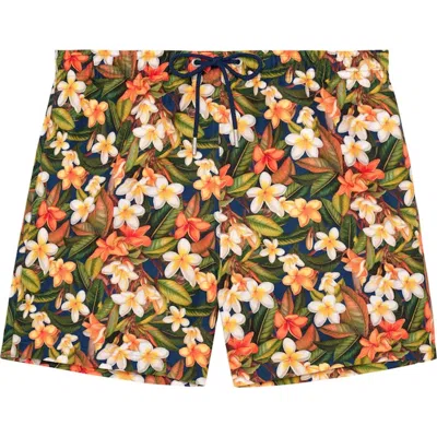 Hom Etna Beach Boxer In Multi