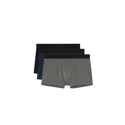 Hom Set Of Two Boxers In Brown