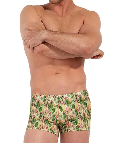 Hom Taormina 2.5 Swim Shorts In Multi