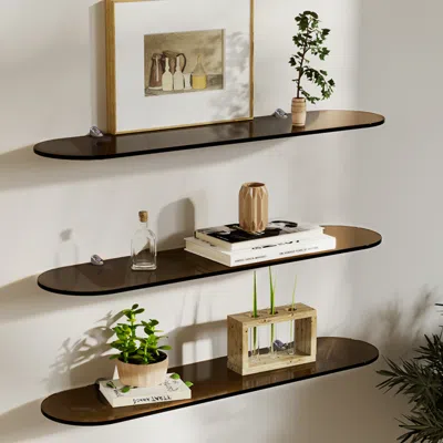 Homary 3-tier Acrylic Wall Mounted Storage Racks Floating Shelves In Brown