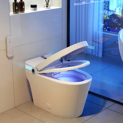 Homary Automatic One-piece Smart Toilet Elongated Floor Mount 1.32 Gpf Bidet Toilet Glowin K1 In Neutral
